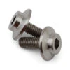 ProTek RC GR5 Titanium Motor Screw (2) (3x8mm) 2 ProTek RC GR5 Titanium Motor Screw (2) (3x8mm) -Traxxas Shop ptk t 5104
